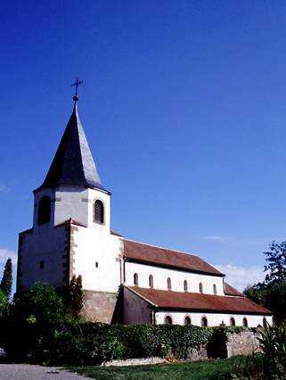 Avolsheim : le Dompeter. Vue générale.