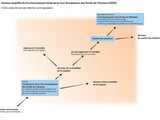 Schéma simplifié du fonctionnement initial 