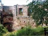 Château bas : courtine et tourelle