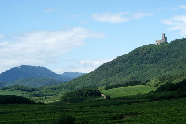 Vue depuis le village de Dieffenthal sur l’entrée du Val-de-Villé