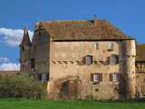 
        Typologie des châteaux alsaciens
    