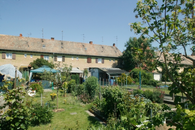 Strasbourg : cité-jardin du Stockfeld - jardins potagers