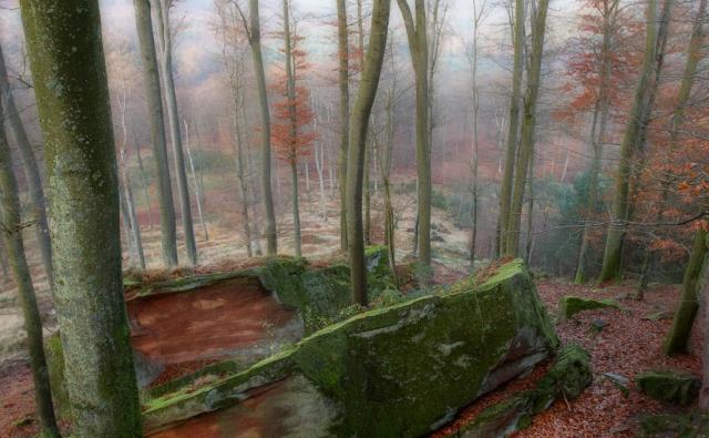 Grès des Vosges (Schwartzbach)