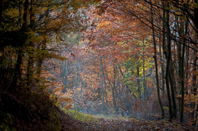 Un tunnel vers la lumière (Imbstahl)