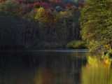 Forêts d'automne -  dans les Vosges du nord