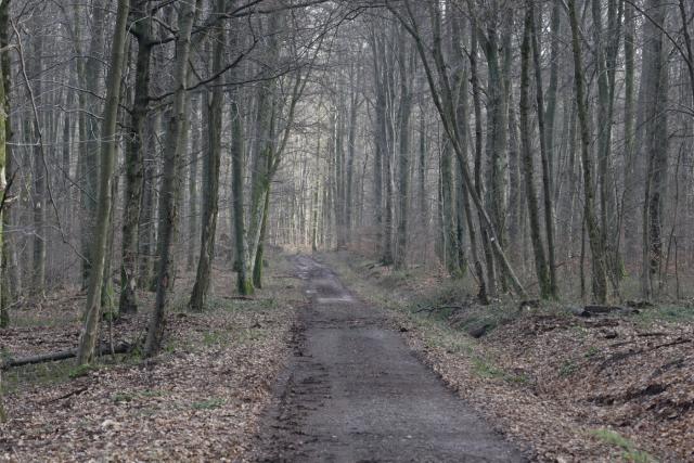 Le Chemin des Bornes