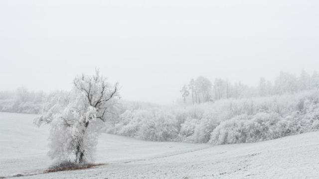 Paysage de givre (Neubruchwald)