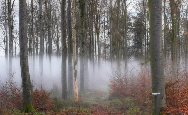 Brouillard sur le Froschkopf