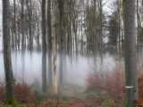 Brouillard sur le Froschkopf