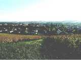 Wissembourg : vue depuis le vignoble