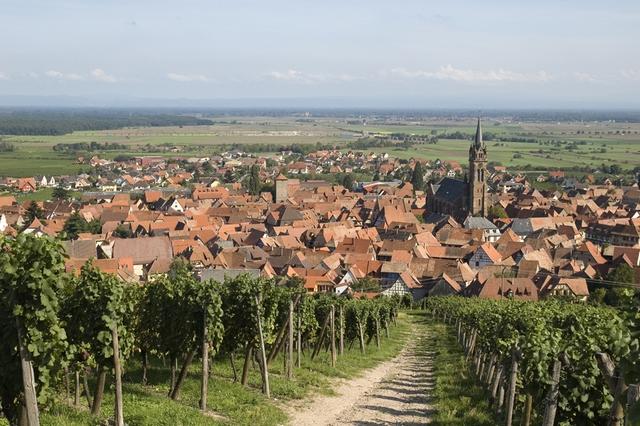 Dambach-la-Ville : vue d'ensemble