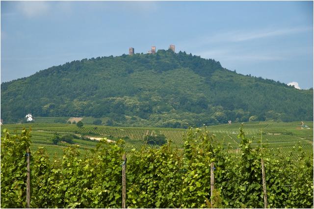 Les Trois Châteaux de Haut-Eguisheim