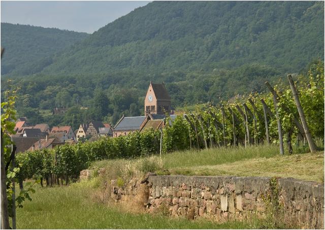 Gueberschwihr : un village du vignoble  