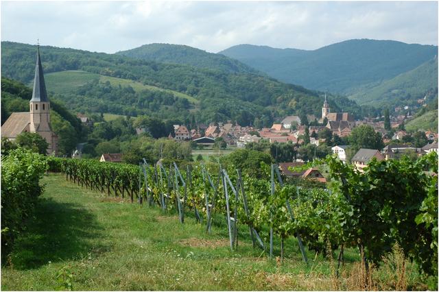 Andlau : vue d'ensemble