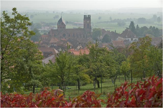 Neuwiller-lès-Saverne : paysage du piémont des Vosges du Nord : 