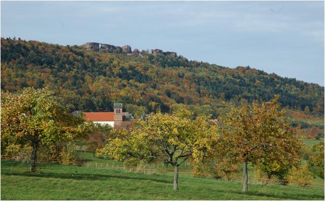 Haegen, au pied du château du Haut-Barr en automne