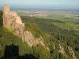 Ribeauvillé : au pied des ruines du Girsberg, les collines sous-vosgiennes et la plaine d’Alsace