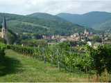 Andlau : vue d'ensemble