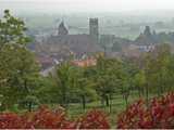 Neuwiller-lès-Saverne : paysage du piémont des Vosges du Nord : 