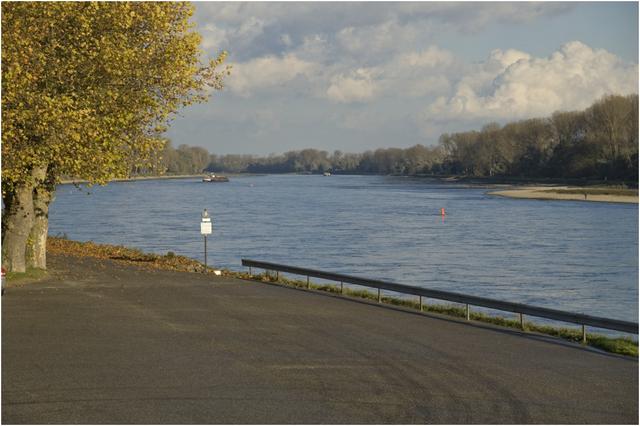 Rhin à Lauterbourg