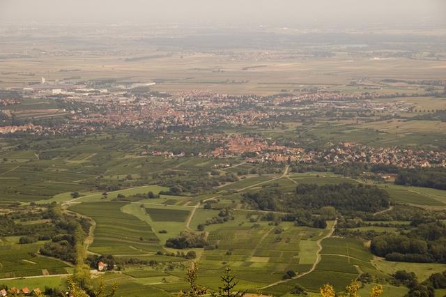 Piémont vosgien vu depuis le Mont-Sainte-Odile