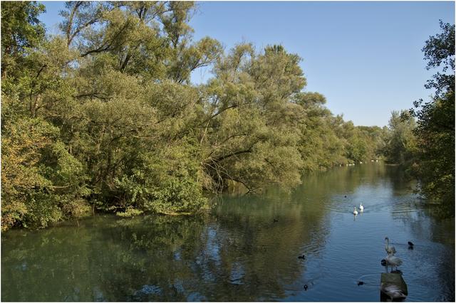 Réserve naturelle de la forêt d’Erstein