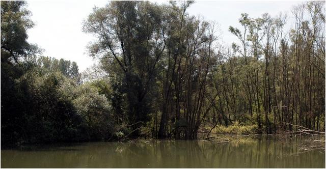 Réserve naturelle de la petite Camargue alsacienne 