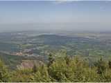 Piémont et plaine vus depuis le Mont-Sainte-Odile