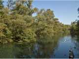 Réserve naturelle de la forêt d’Erstein