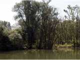 Réserve naturelle de la petite Camargue alsacienne 