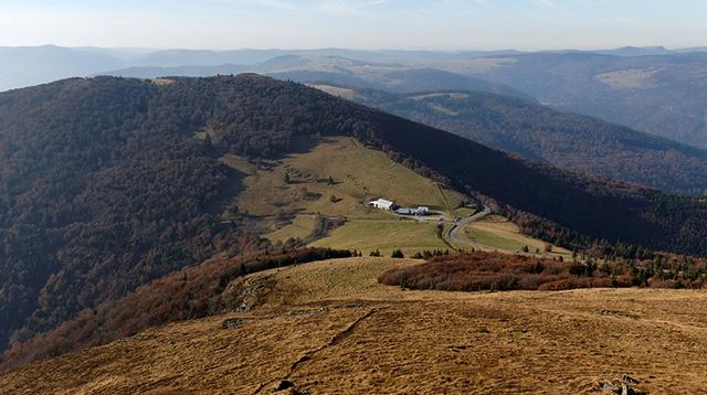 Agriculture de montagne et tourisme : la ferme-auberge du Haag au pied du Grand Ballon 