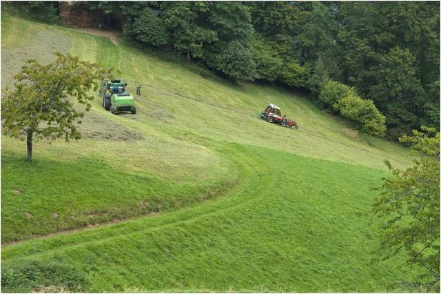 Agriculture de montagne : fenaison au col des Bagenelles 