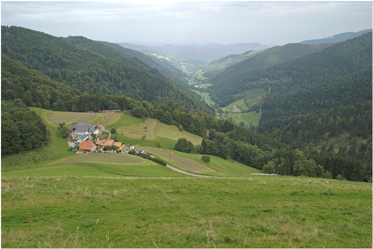 Ste Marie-aux-Mines: la haute vallée de la Lièpvrette 