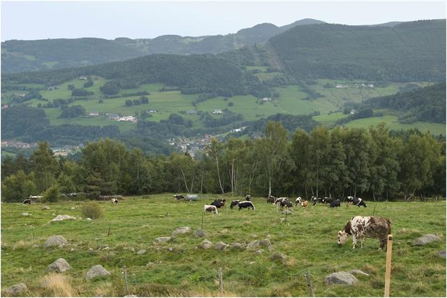 Paysage de la moyenne montagne vosgienne : le val d’Orbey