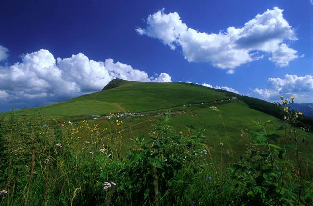 Le Rothenbachkopf (1316 m)