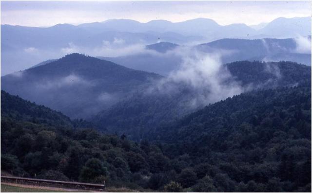 Sur les hauteurs de Guebwiller : paysage d’automne