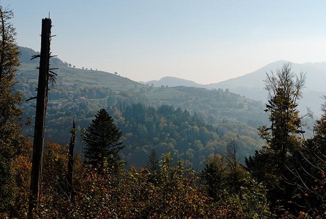 Vallée de la Thur : vue sur Altenbach depuis les sommets voisins