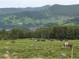 Paysage de la moyenne montagne vosgienne : le val d’Orbey