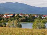 Les Vosges du sud depuis Michelbach