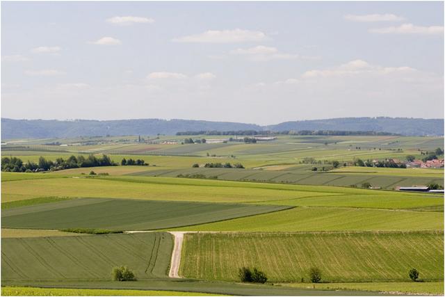 Landersheim : paysages agraires du Kochersberg 