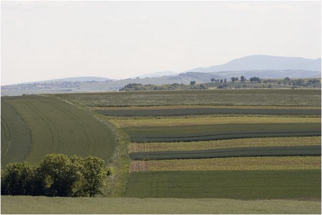 Ittlenheim : paysage agraire du Kochersberg 