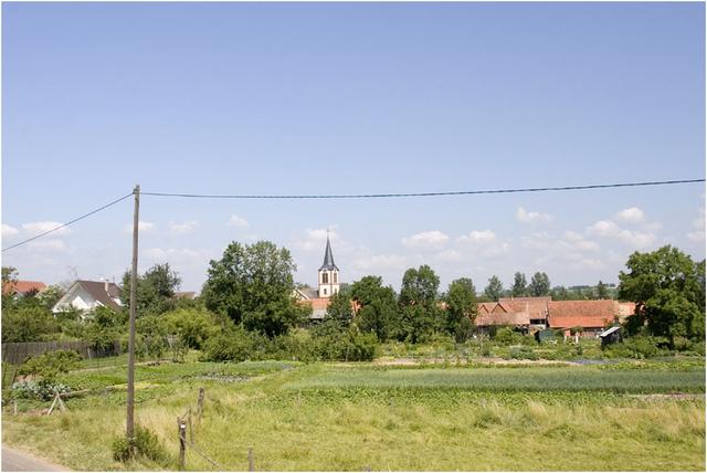 Obermodern : ceinture de jardins à la périphérie du village