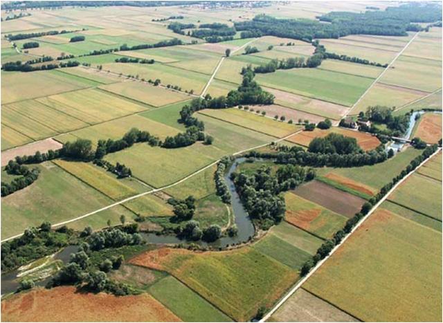 Ried de l'Ill à la Maison Rouge