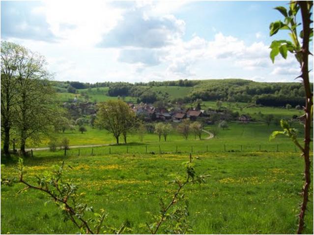 Paysage de collines du Sundgau : Bendorf, près de Ferrette