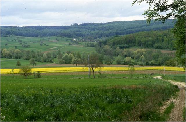 Sundgau : paysage agraire