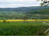 Sundgau : paysage agraire