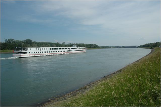 Le Rhin : bateau de croisière près de Marckolsheim