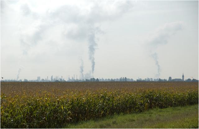 Chalampé : zone industrielle rhénane vue depuis la Hardt