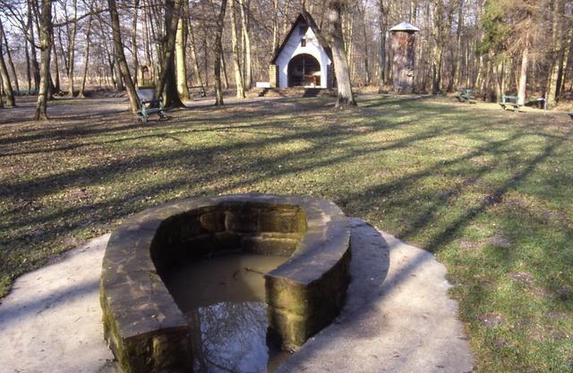 Haguenau : espace aménagé dans la forêt