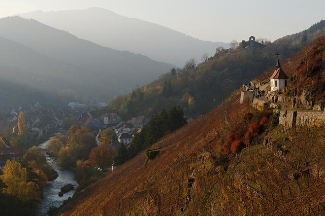 Vignoble du Rangen au-dessus de Thann à l’entrée de la vallée de la Thur